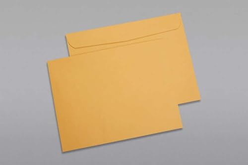 100 Pack Brown Kraft Booklet Envelopes 10x15 Open Side Gummed Seal