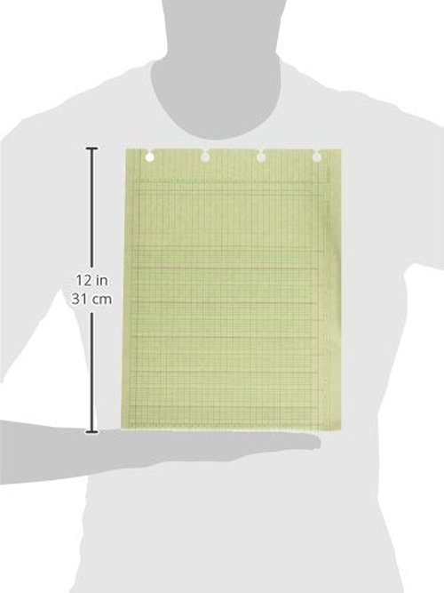 Wilson Jones G1010 Accounting Sheets, 10 Column, 9-1/4 x 11-7/8, Green (Pack of 100 Loose Sheets)