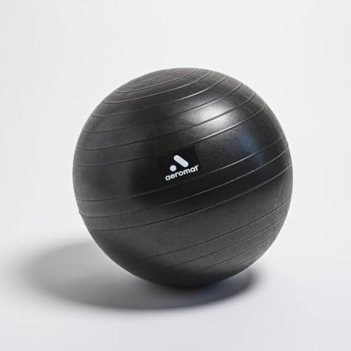 Aeromat 49 cm Replacement Ball for Fit Chair – Ball Chair Replacement Part