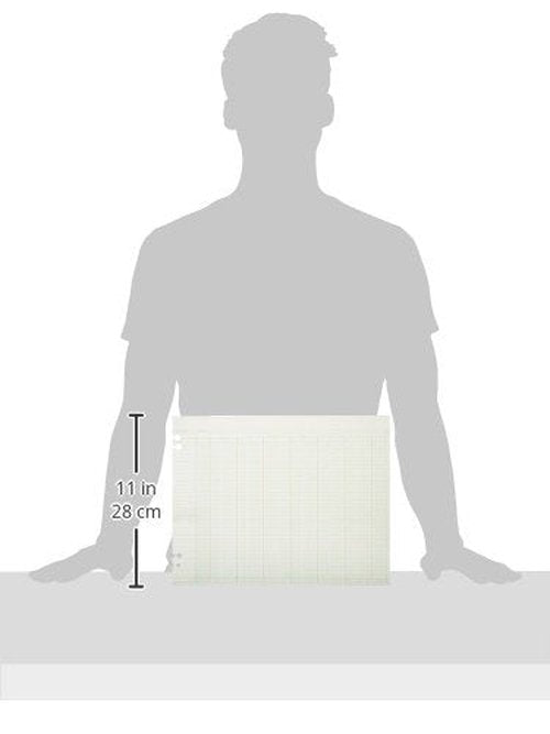 Wilson Jones WLJG3024 Green Columnar Ruled Ledger Paper, Double Page Format, 24 Columns and 36 Lines per Page, 11 x 14 Inches, 100 Sheets per Pack (WG30-24A)