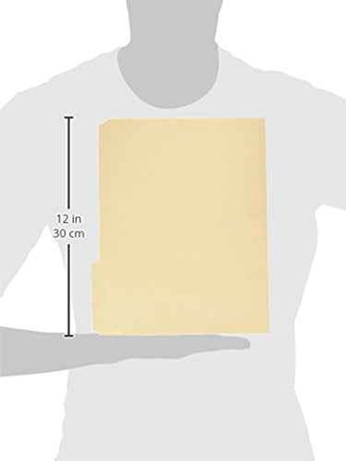 Business Source File Folder, 1/3 Cut Assorted Tab, 2-Ply, Letter, Manila