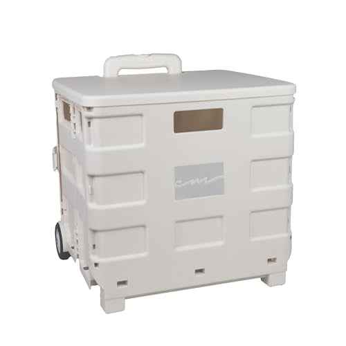 Everything Mary Collapsible Plastic Rolling Cart for Crafts & Hobby Supplies, Ivory