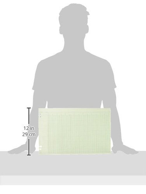 Wilson Jones Ledger Paper, 24 Columns and 36 Lines/Page, 11" x 17 ", 100 Sheets per Pack (WG50-24A)