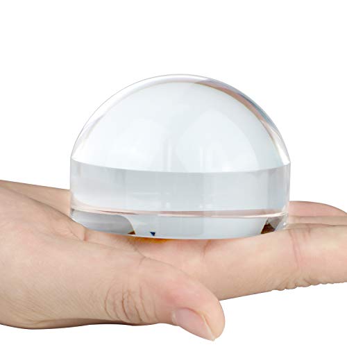 Dandelion 2.5 Inch 6X Dome Magnifier with Pouch - Self-Focusing Table Magnifying Glass