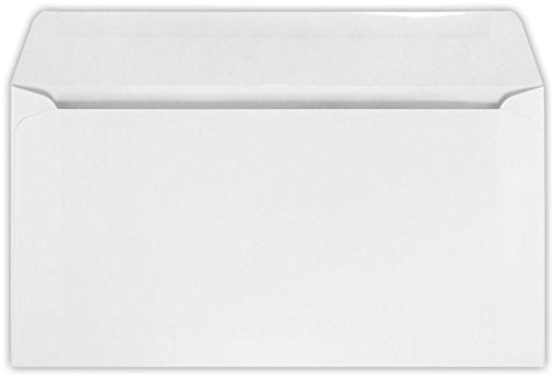 LUXPaper 50 Pack 6 x 11 3/8 Inch White Booklet Envelopes for Business Mailings
