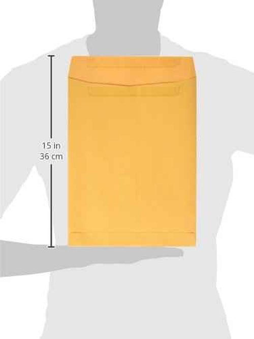 Quality Park Catalog Envelopes, Redi-Seal, Brown Kraft, 9.5 x 12.5, 250 per Box, (43662)