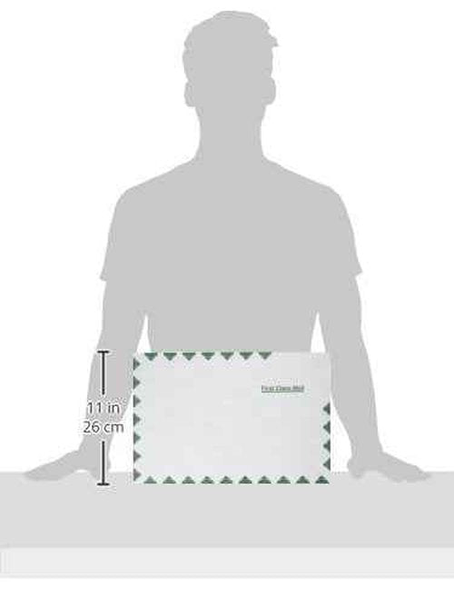 Quality Park Survivor R1670 Tyvek USPS First Class Mailer, 10 x 15, White (Box of 100)