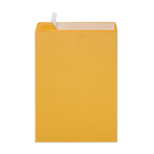 Blue Summit Large Mailing Envelopes 13x18, Large Envelopes 13x18 for Documents, Self Seal, Thick 28lb Kraft Paper, 50 Manila Mailers