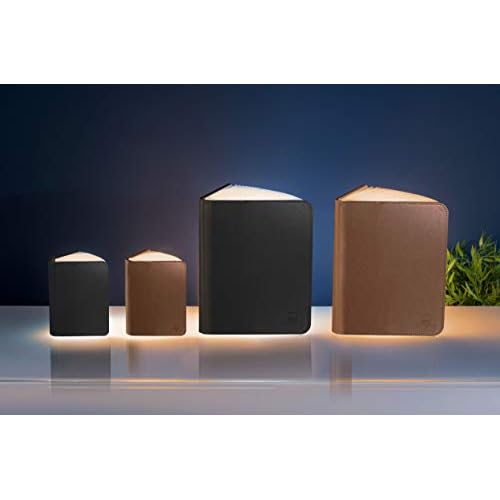 Gingko Design Small Smart Book Light