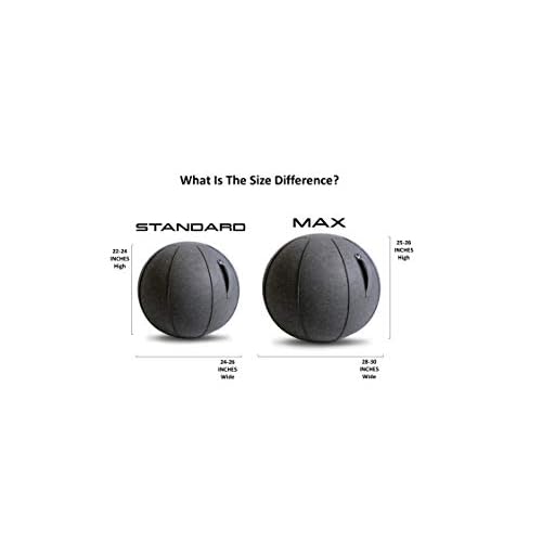 Vivora Luno Premium Ergonomic Sitting Ball Chair, Felt, Standard Size (22 to 24 inches), for Home Offices, Balance Training, Yoga Ball, Posture Improvement