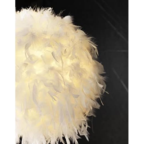 Floor Lamp, Elegant White Feather Standing Lamps with On/Off Switch