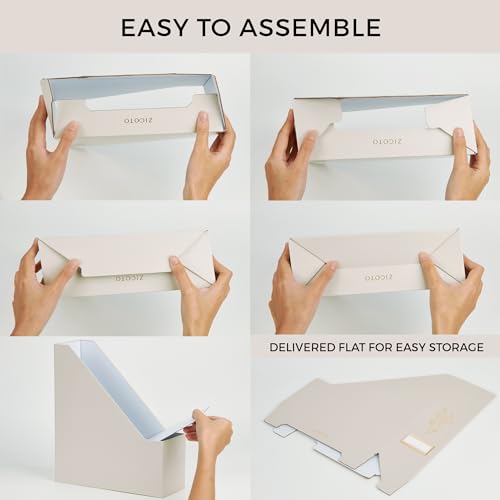 Beige Magazine Holder Set of 3 - Stylish Desk File Organizers by ZICOTO
