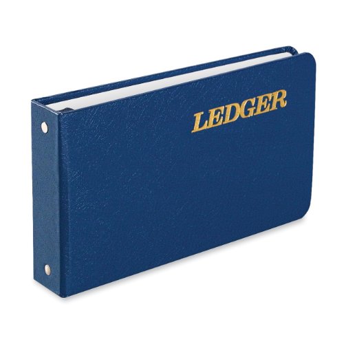 Wilson Jones 1" Ring Binder, Blue | 6-Ring Binder with 3/8" Centers