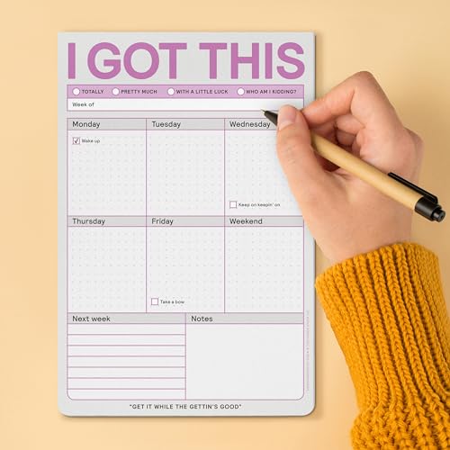 Knock Knock 6-Count I Got This Pads, To Do List Notepads, Daily Planner Pads & Funny Home Office Supplies, 6 x 9-inches