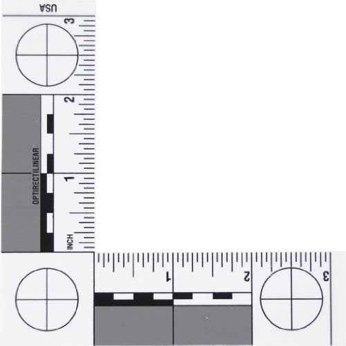 L-Shaped photmacrographic Scale