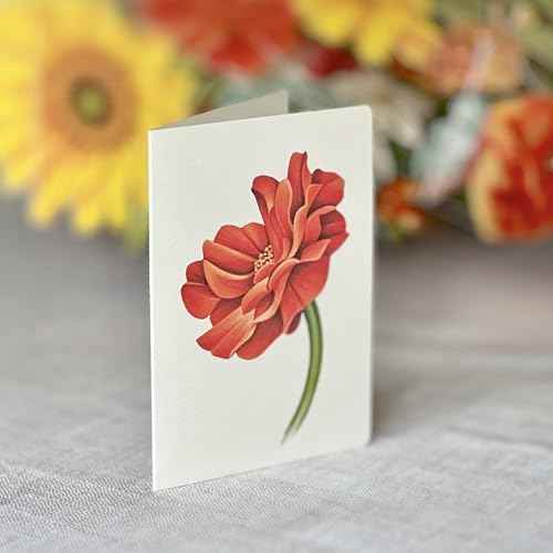 Freshcut Paper Pop Up Cards, Pumpkin Harvest, 12 Inch Life Sized Forever Flower Bouquet 3D Popup Greeting Card, Autumn Cards, Birthday Card, Blank Notecard & Envelope