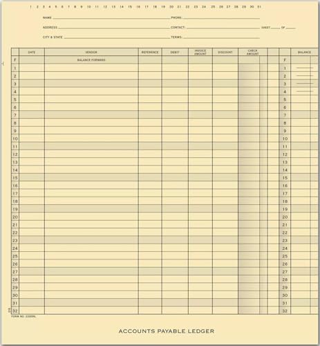 One Write Accounts Payable Ledger - 25 Ledgers per Unit, EGPChecks