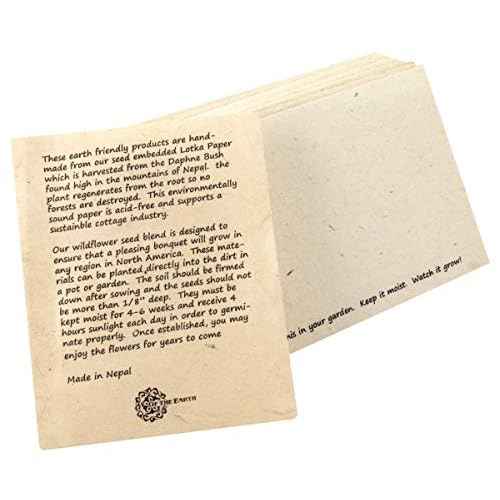 Handmade Seeded Plantable Recycled Note Paper 100 Sheets Each 6 x 4 Inches (2-Pack)