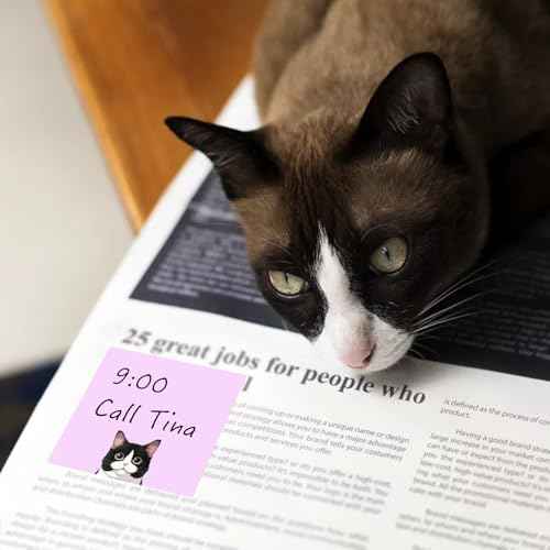 9 Pads Cute Sticky Notes Set, 3" x 3" Black Cat Self Stick Notepads, Funny Sticky Notes Set, Cat Stationery, Kawaii Adhesive Memo Pads, Cat Lover Gifts, Office Decor Desk Accessories, School Supplies