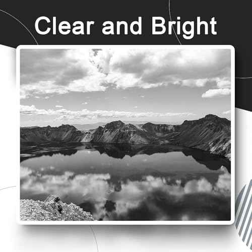 260XL Black Ink Cartridges Combo Pack Replacement for Canon PG-260 PG-260XL 260 XL Ink Work with Pixma TS5320 TS5300 TS6420 TR7020 TR7022 (2 Black)