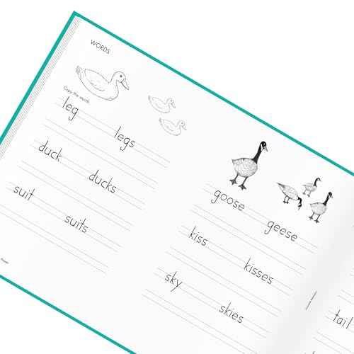 Learning Without Tears Age 7+, 2nd Grade+, Handwriting Practice, Writing Book, School & Home, Language Arts, Tutoring, Sensory