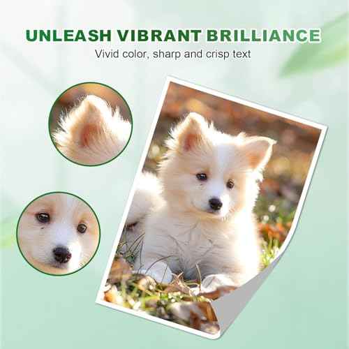 280 281 Ink Cartridges Compatible with Canon PGI-280 XXL CLI-281 XXL Ink Cartridge Work for Canon TR8620a TR8520 TR8620 TR8600 TR7520 TS6120 TS6220 TS9120 TS6320 TR7520 TR8500 10-Pack