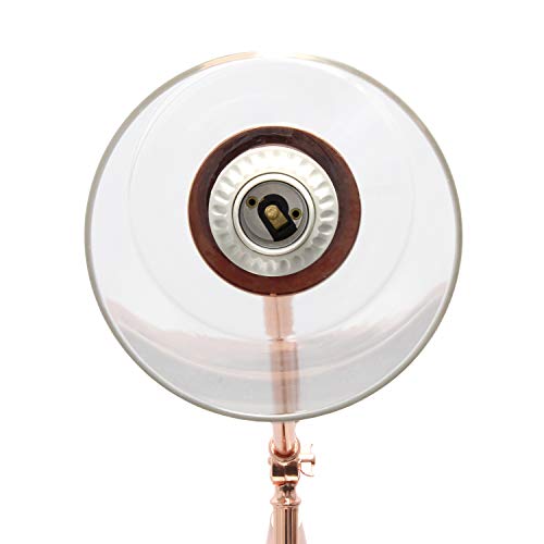 Elegant Designs LF1030-RGD Pivot Arm Glass Shade Floor Lamp, Rose Gold