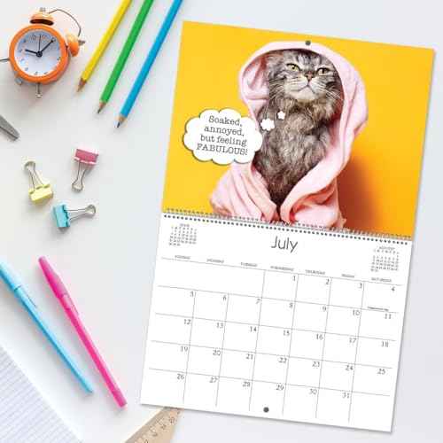 Current 2026 Cattitudes Cat Wall Calendar, 12-Inch x 9-Inch Size Closed, 18-Inch Size Open, Large Bookstore-Quality, Spiral-Bound Hanging Monthly Wall Calendars for Kitchen & Office