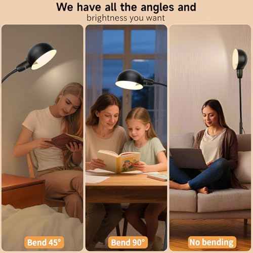 Floor Lamp with Flexible Gooseneck and Height Adjustable£¬Standing Lamp Include Dimmer LED Bulb£¬Ideal Tall Lamp with Dimmer and Timer Switch for Reading,Bedside and Living Room (Black)