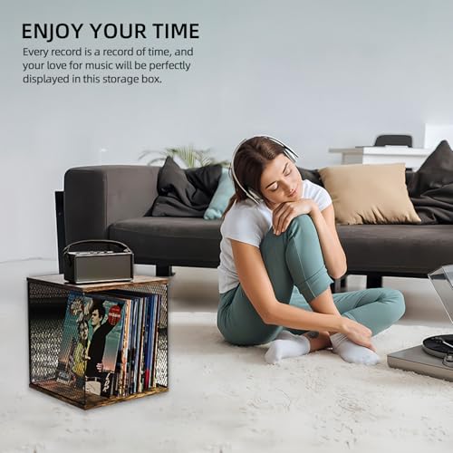 2 Cubes of Vinyl Record Storage, Premium Wooden Record Holder Shelf with Visual Metal Mesh & Large Capacity, DlY Stackable 90-120 Albums, Vinyl Organizer Solution for Home or Studio, Stylish & Durable