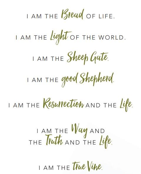 Finding I AM Bible Study for Women with Video Access by Lysa TerKeurst - Paperback