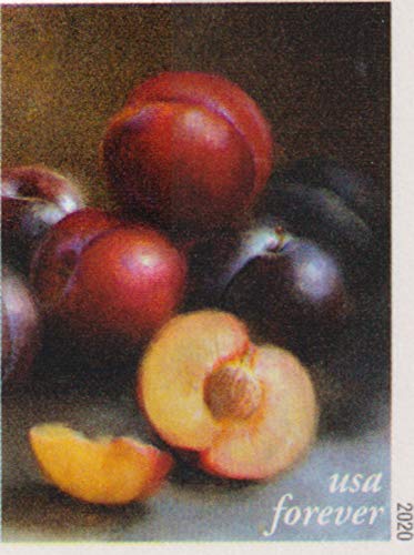 USPS Forever Stamps Booklet of 20 Fruits & Vegetables Art Collection