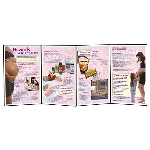 Hazards During Pregnancy Folding Display