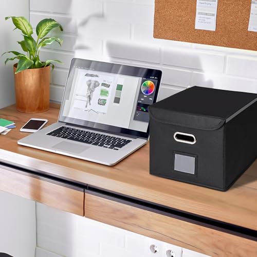 CADONO Black File Organizer Box with Lid, Collapsible Hanging Storage for Office & Home - 14.9x12.6x10.8 inch