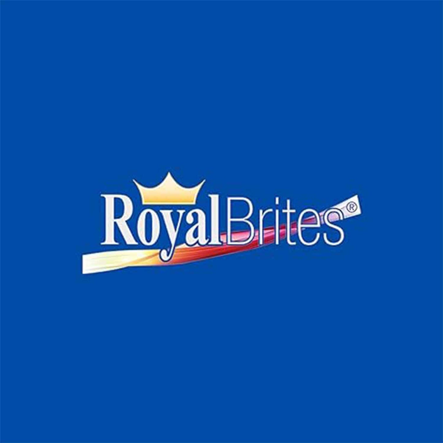 Royal Brites Variety Pack Fluorescent Poster Board, 22 x 28 Inches, Assorted Neon, 5-Sheet Pack (23407)