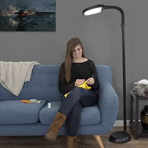 Floor Lamp - Full Spectrum Natural Sunlight Lamp with Bendable Neck - Reading, Craft, Studying, and Esthetician Light by Lavish Home (Black)