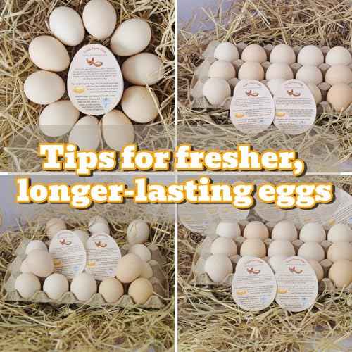 250 Pcs PREMIUM Fresh Farm Egg Handling Instruction Cards - 2.7 X 3.5 Inches - Egg Stamps For Eggs Care Egg Cartons Cheap Bulk - Egg Stamps For Fresh Eggs For Egg Cartons Reusable - Eggs Shape Style