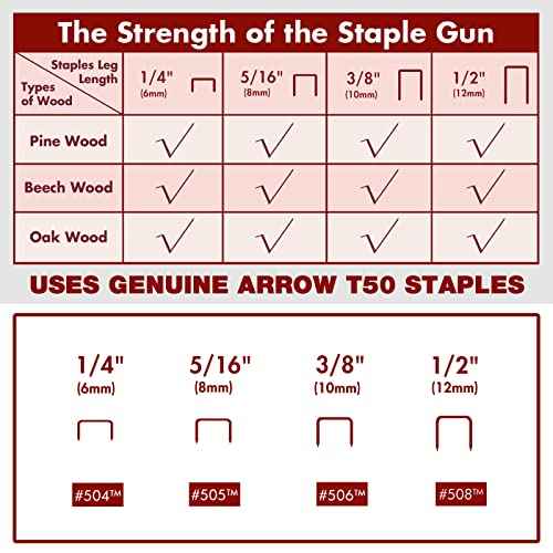 Arrow Electric Staple Gun Kit, Corded Stapler with 3750 Pieces T50 1/4", 3/8", 1/2" Staples, for Upholstery Professional and DIY Projects, T50ACD