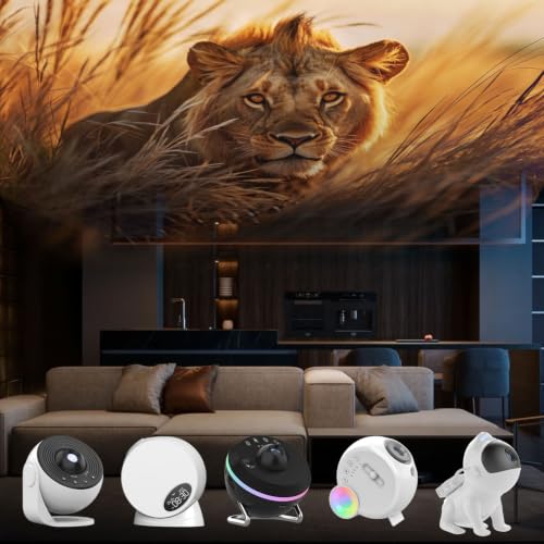 Rusoso Galaxy Projector Pro Disc Set 6-Pack 5K HD Ocean Scene Replacement