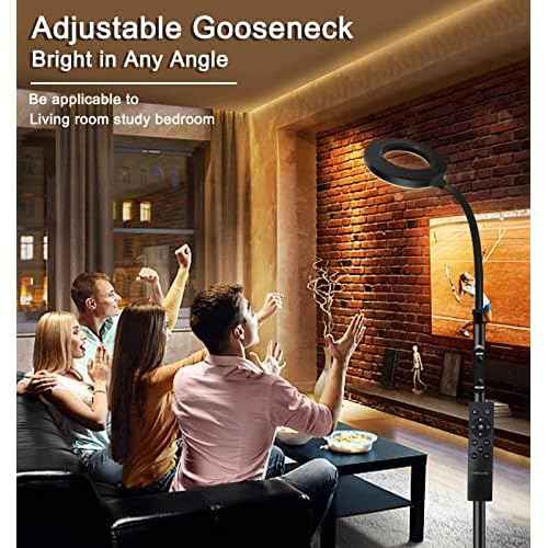 LED Reading Floor Lamp with Remote & Touch Control, Bright Adjustable Gooseneck Lamp for Living Room Bedroom Office, Eyelash Extensions tattooing Light,£¨Timer,2700K-6500K