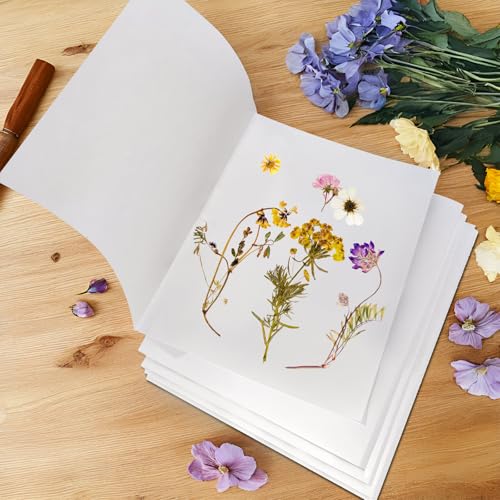 Lineco Acid-Free Herbarium Specimen Newsprint Paper, Pack of 25