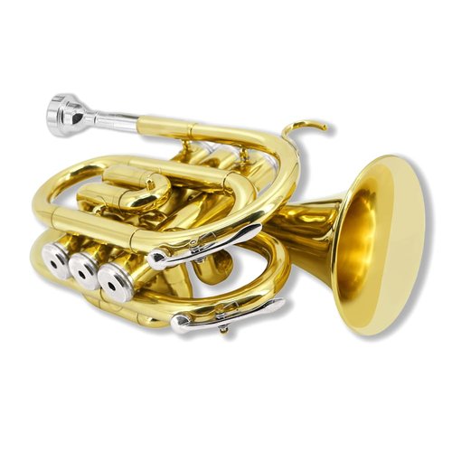YoungMonic Pocket Trumpet Bb Flat Brass Trumpet for Beginner Student with 7C Mouthpiece Carrying Hard Case Cleaning Cloth Gloves