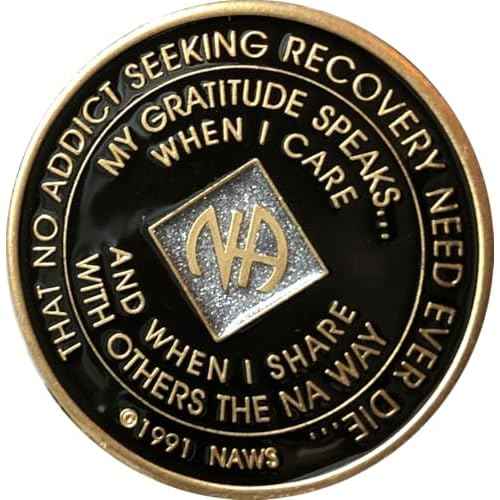 11 Year Black and Silver Glitter NA Medallion Official Narcotics Anonymous Chip