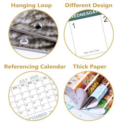 2026 Wall Calendar - 2026 Calendar, Funny Cat Calendar 2026, Jan. 2026 - Dec. 2026, Wall Calendar Gag Gift, Funny Cat Memes Pics, 12'' x 24'' (Open), Unruled Block, Hanging Hole, Holidays