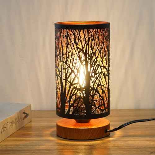 Small Industrial Table Lamps Dimmable, Bedside Lamps for Nightstand,End Table Side Desk lamp with Rustic Black Metal Cage Lampshade for Bedroom, Kids Room Living Room 2700K LED Bulb Included