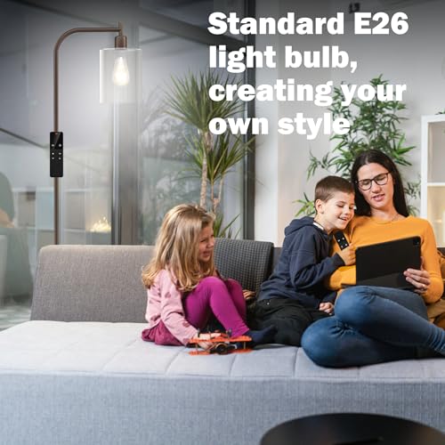 Industrial Floor Lamp with Glass Shade, Modern Dimmable Floor lamp with Remote LED Bulbs, Tall Lamp for Living Room Corner, Bedroom, Office (Bronze)