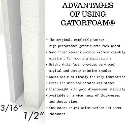 White Gator Board - 3/16" Thickness - Multiple Sizes - 10 Pieces - 10 pc Multi Pack - Rigid Foam Backing Board (9 x 12)