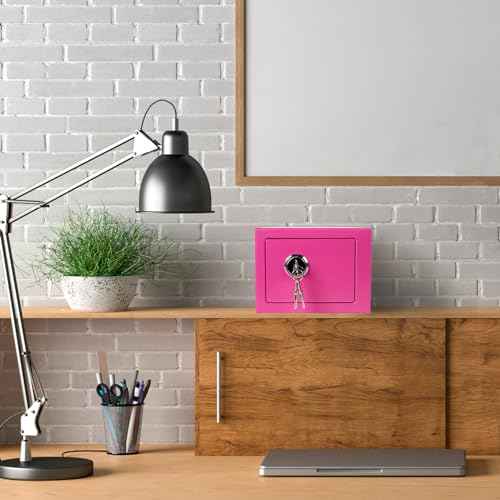 Luwint Small Steel Safe Lock Box with Key, General Home Use, 9.5 x 9 x 6.5 in (Pink)