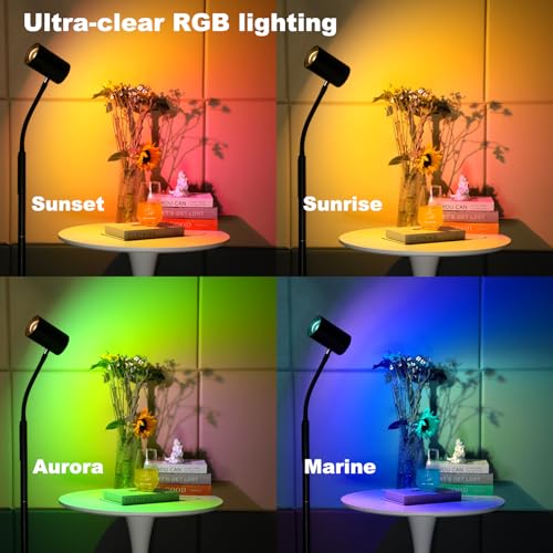 GLOWRIUM LED Floor Reading Lamp, Dual-Side Reading Light with Remote, No Blue Light, No Glare, 5 Color Temperatures, Stepless Dimming, 360¡Æ Rotating Gooseneck Lamp, No Flicker, Uniform Illumination