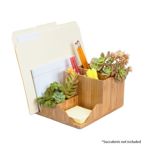 MobileVision Bamboo Succulent Plant Holder Desktop Organizer for Pens Pencils Files & Notepads; Gift for Back To School Teachers Employees Assistants